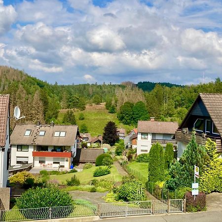 Haus Wilma Lejlighed Altenau  Eksteriør billede