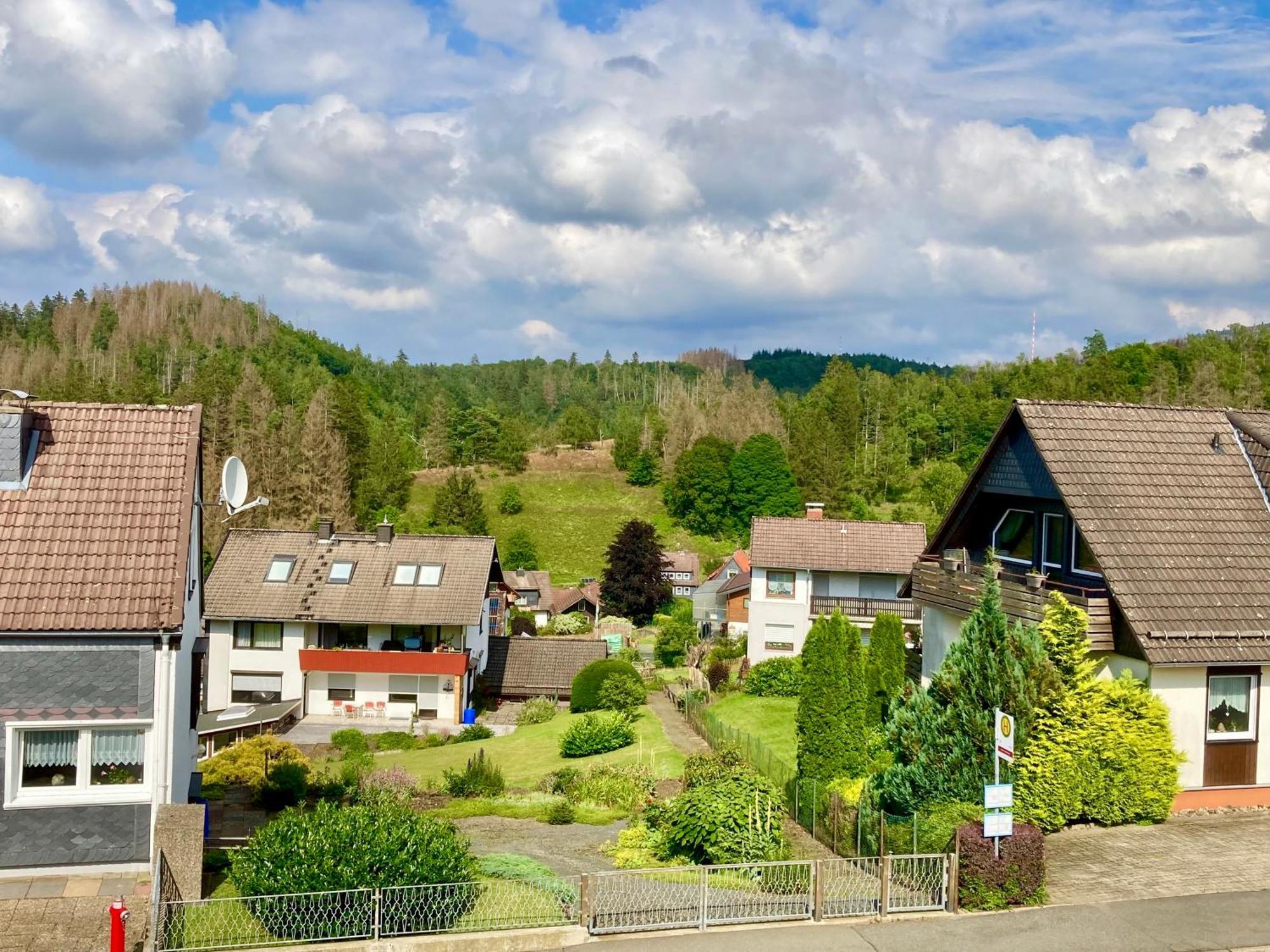 Haus Wilma Lejlighed Altenau  Eksteriør billede